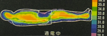沼津市 ダイエット