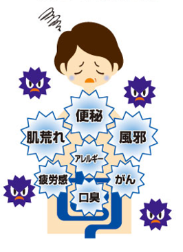 沼津市 ダイエット