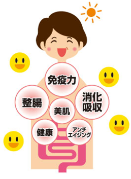 沼津市 ダイエット